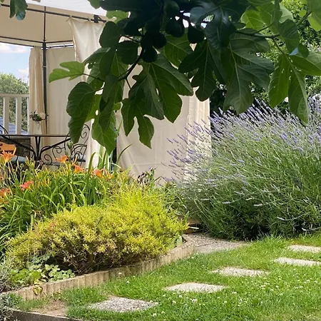 Independante Bulle D Evidence 3* Saumur