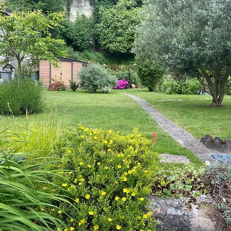 Bulle D Evidence Saumur