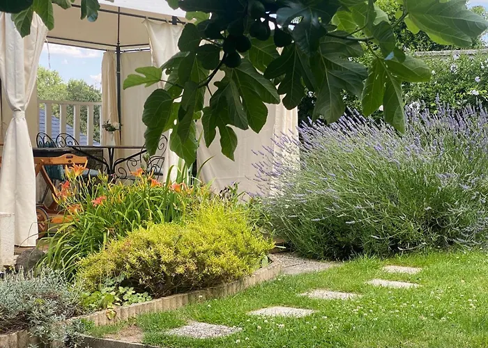 Bulle D évidence 3* Saumur