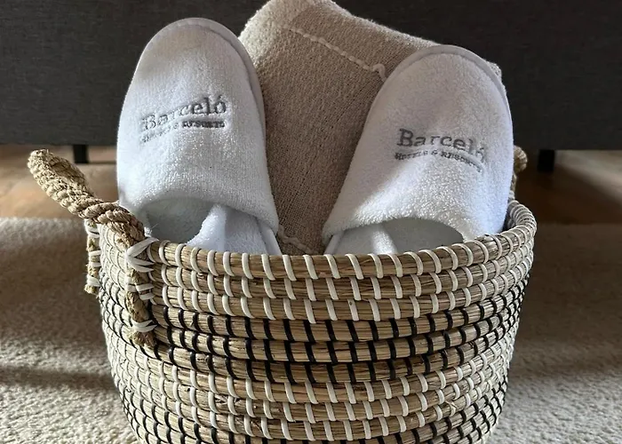 Bulle D évidence Maison d'hôtes Saumur