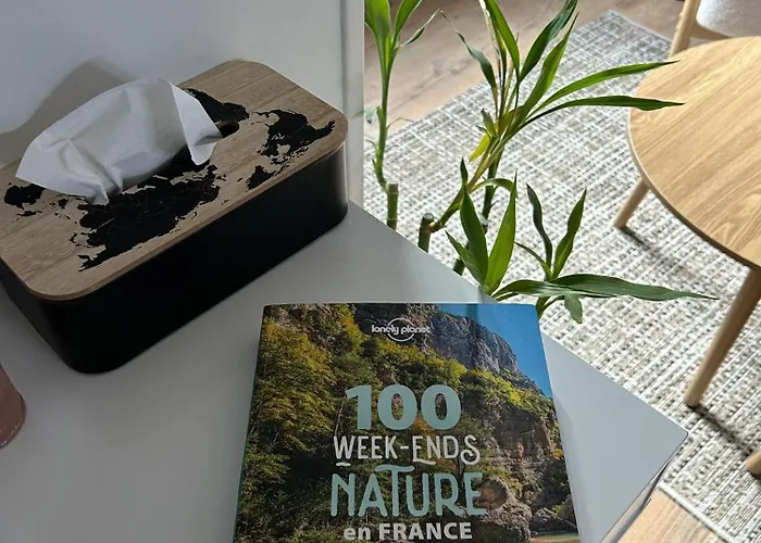 Bulle D évidence 3* Saumur